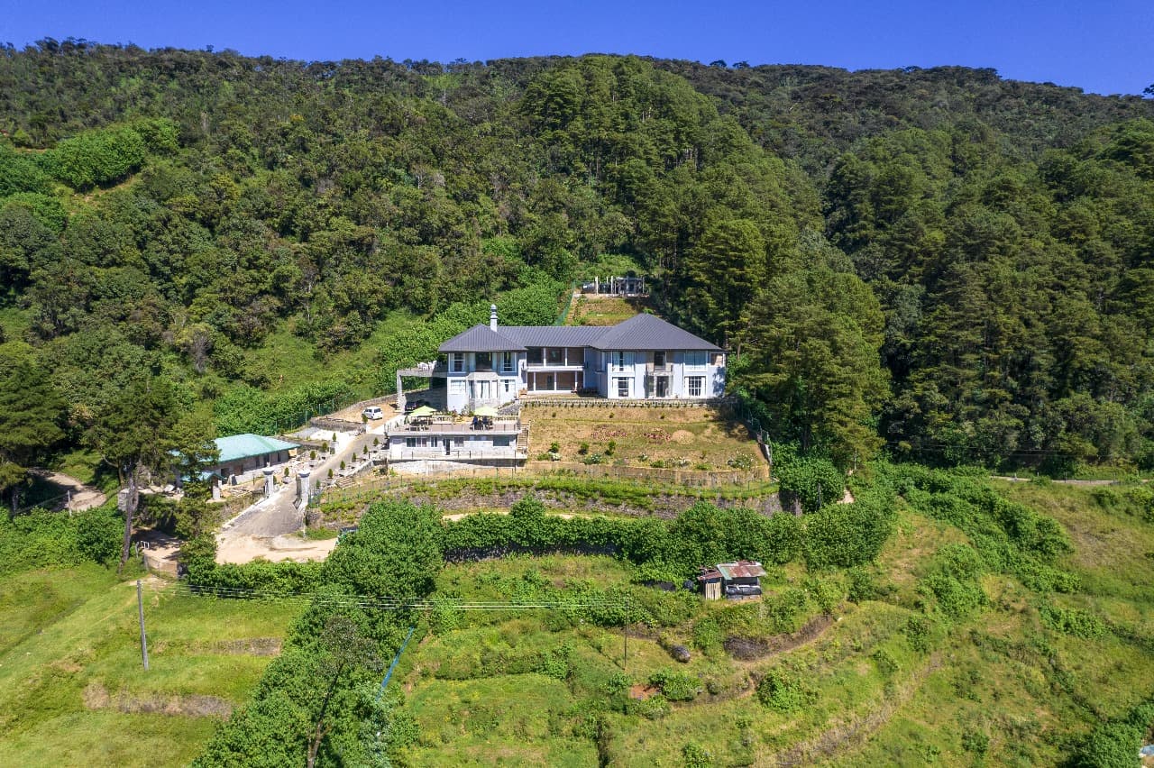 Full property aerial with terraced gardens and forest